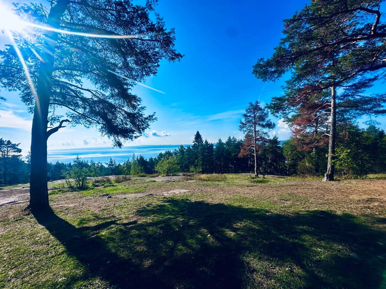Ботанический сад
